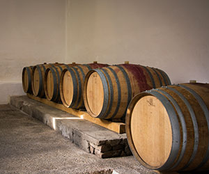 Weingut Gartner Barriquekeller