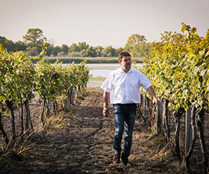 Johann Gartner Weingarten im Nationalpark