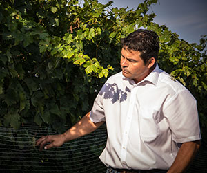 Johann Gartner im Weingarten