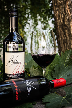 Gartner DAC Neusiedlersee und Rhett Butler