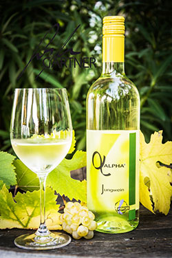 Weingut Gartner Jungwein Alpha aus Illmitz
